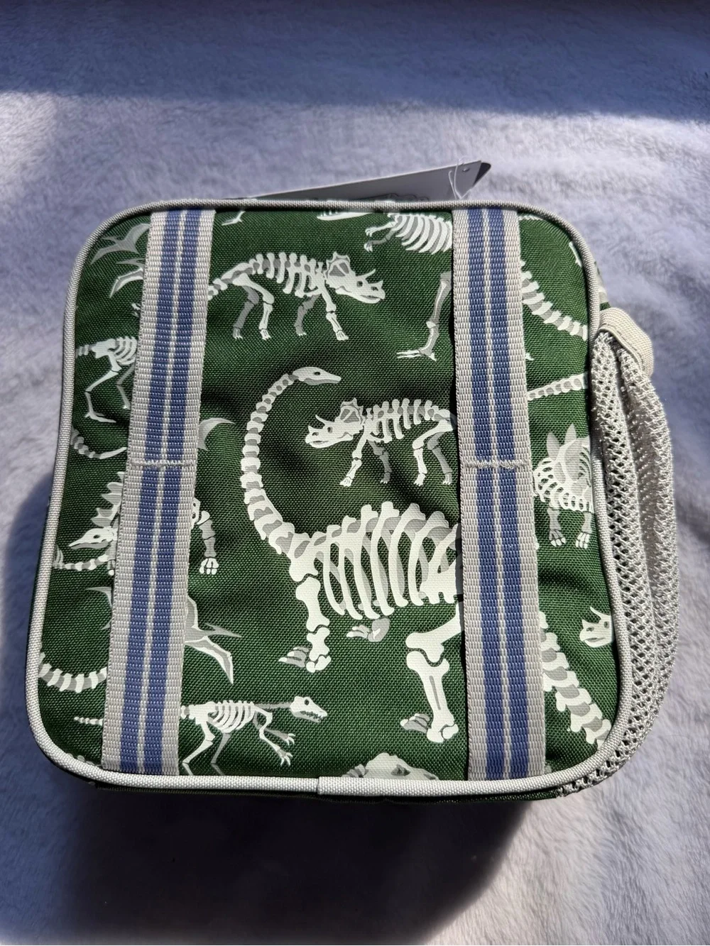 NWT Pottery Barn Kids Classic Lunch Bag Green Dinosaur Skeleton Lunch Bag PBK